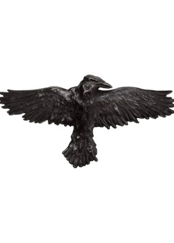 Alchemy Raven Hairclip Black