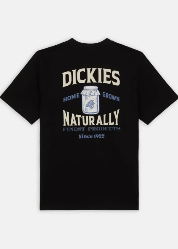Dickies Men Elliston Jar T-Shirt Schwarz