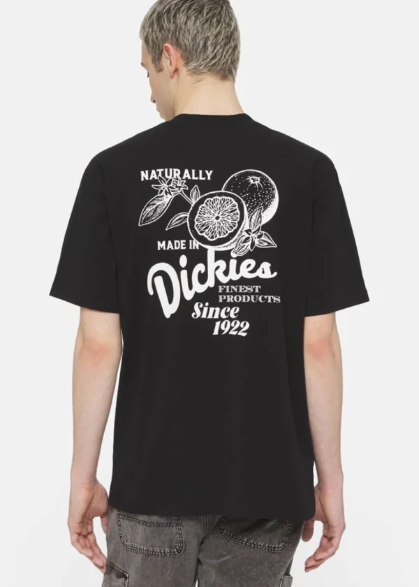 Dickies Men Raven Oranges T-Shirt Black