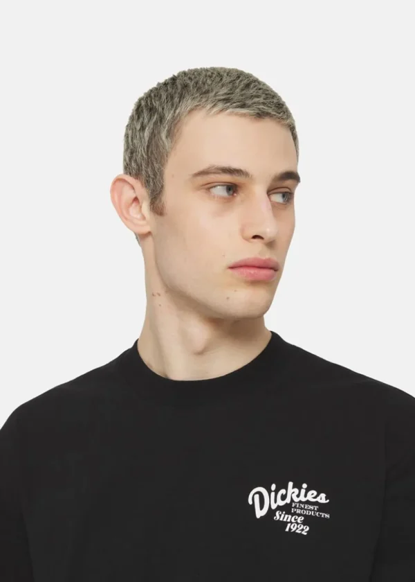 Dickies Men Raven Oranges T-Shirt Black