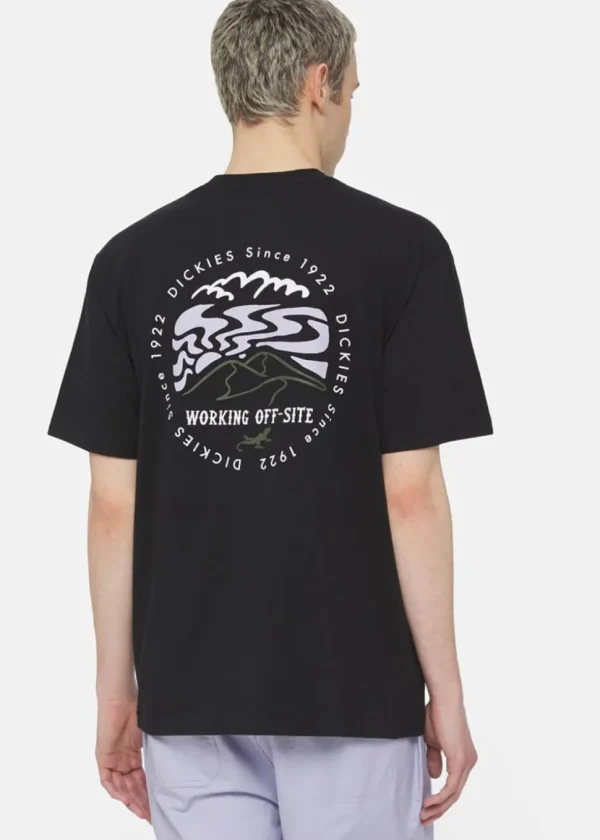 Dickies Men Stanardsville T-Shirt Black