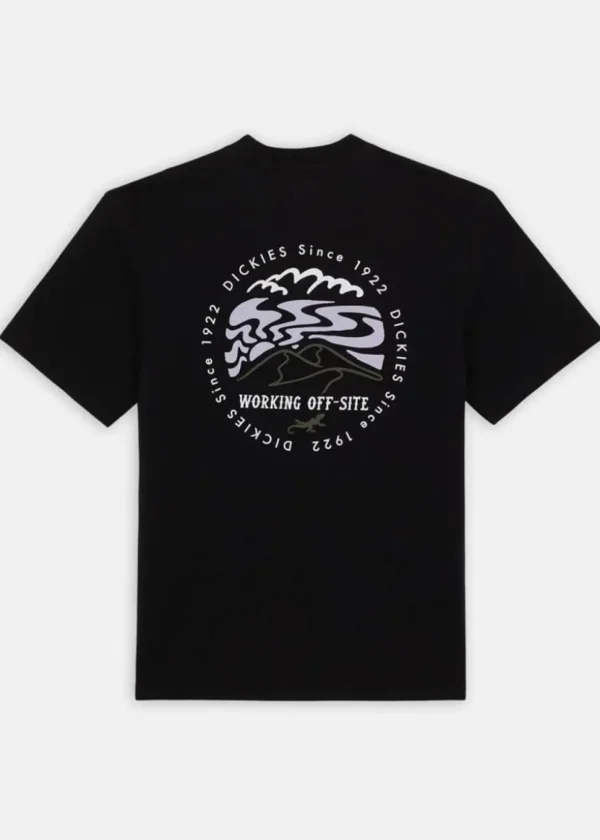 Dickies Men Stanardsville T-Shirt Black