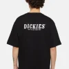 Dickies Mens Script T-Shirt Black