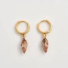 Fable England Spiral Shell Huggy Hoops Earrings Brown