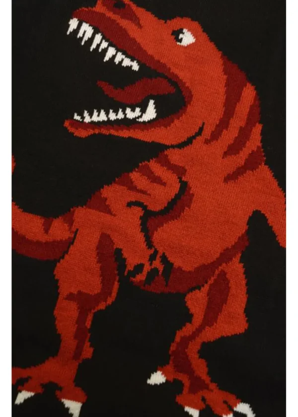 Run & Fly T-Rex Dino Roar 60's Jumper Black
