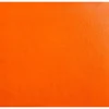Saddler Ellie Leather Coin Purse Orange