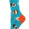 Socksmith Guinea Pigs Socks Blue