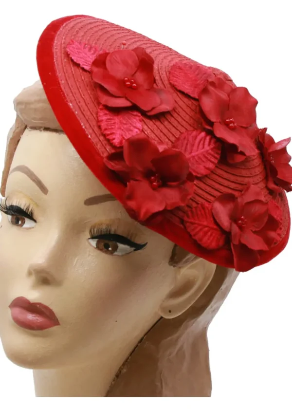 Succubus Fancy Cone Flowers 40's Strawhat Red