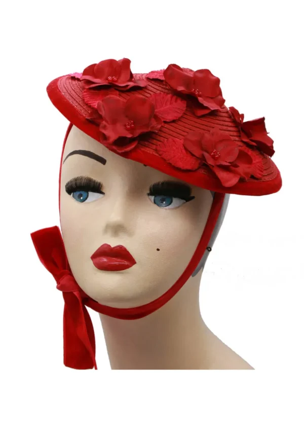 Succubus Fancy Cone Flowers 40's Strawhat Red
