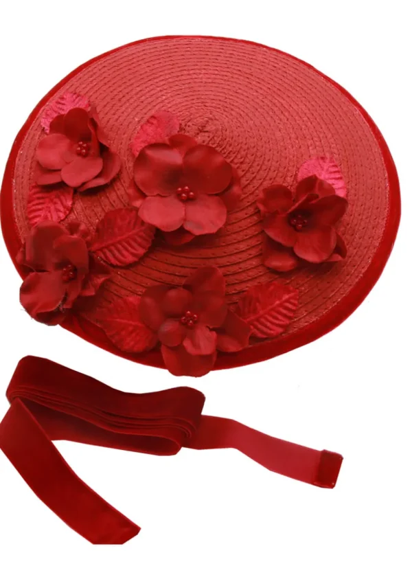 Succubus Fancy Cone Flowers 40's Strawhat Red