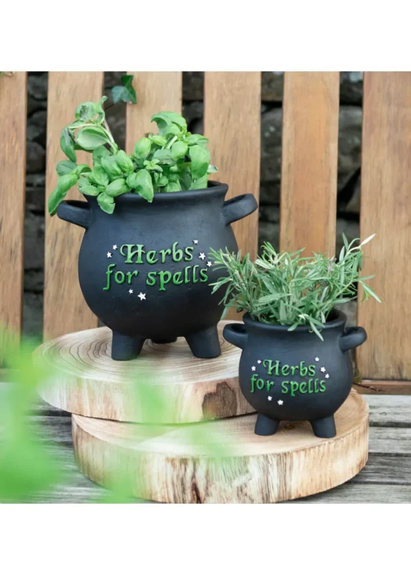 Succubus Herbs For Spells Cauldron Plant Pot Large Black