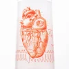 Succubus Home Anatomical Heart Glass