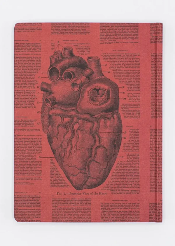 Succubus Home Anatomical Heart Hardcover Schrijfboek