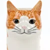 Succubus Home Animal Squash Cat Pot Orange