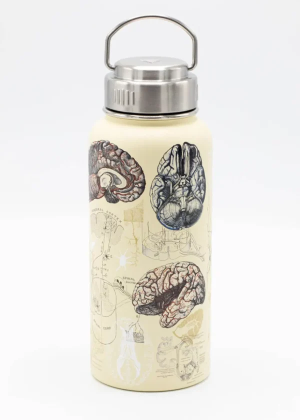 Succubus Home Brain & Neuroscience Stalen 950ml Thermosfles