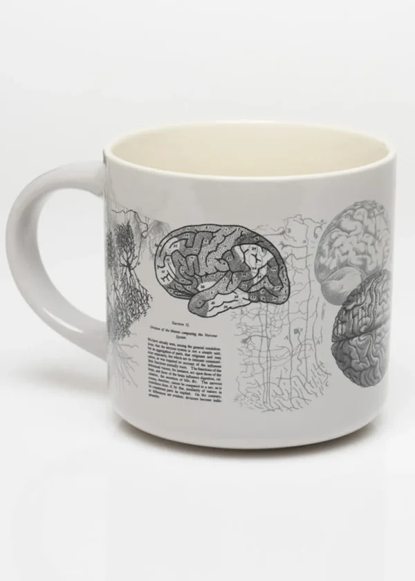 Succubus Home Brain Anatomy Cup Mug