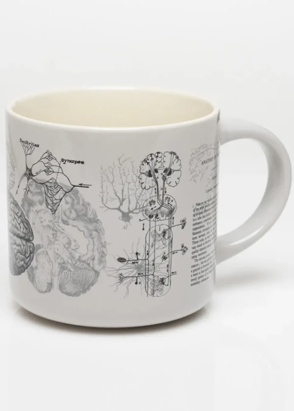 Succubus Home Brain Anatomy Cup Mug