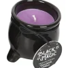Succubus Home Cauldron Scented Candle Violet