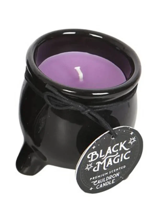 Succubus Home Cauldron Scented Candle Violet