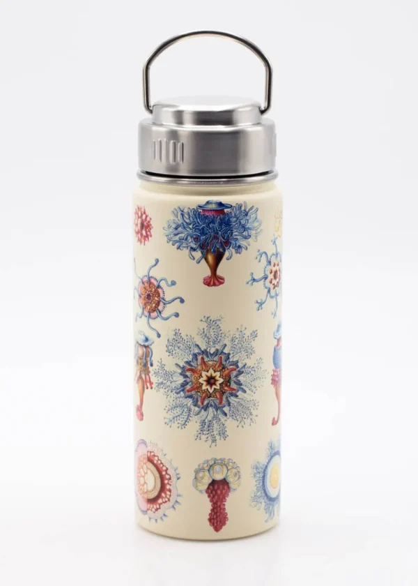 Succubus Home Haeckel Jellyfish 500ml Stalen Thermosfles