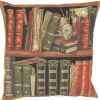 Succubus Home Library Cushion Cover Brown