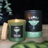 Succubus Home Luna Moth Scented Candle White Sage