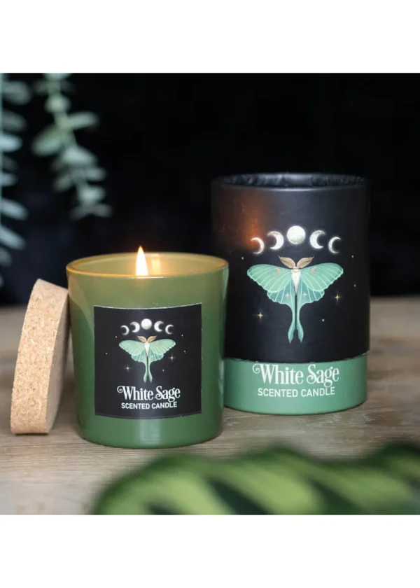 Succubus Home Luna Moth Scented Candle White Sage