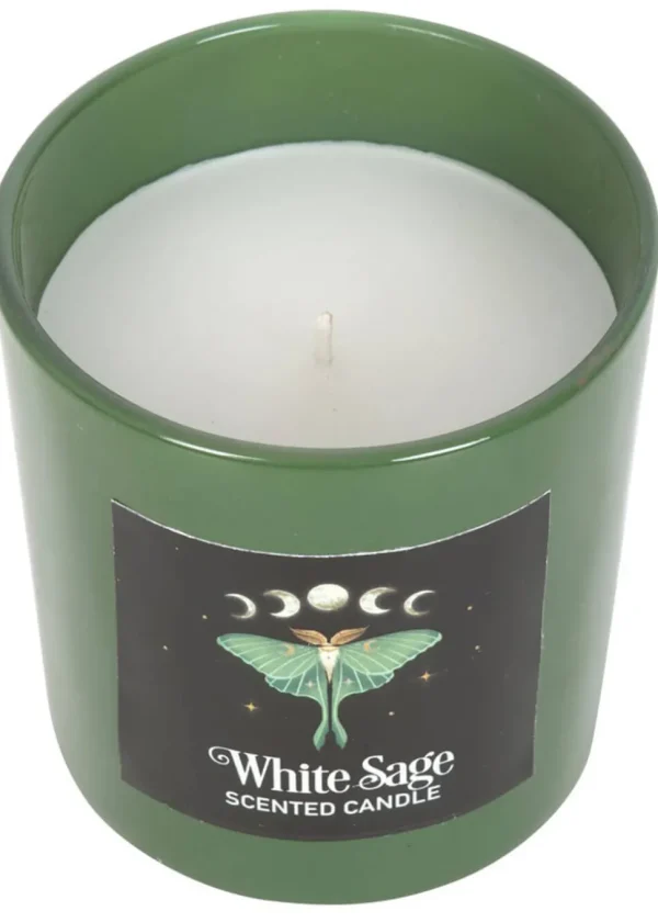 Succubus Home Luna Moth Scented Candle White Sage