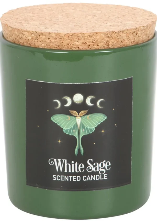 Succubus Home Luna Moth Scented Candle White Sage