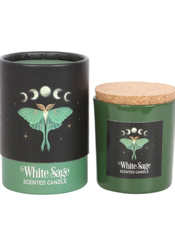Succubus Home Luna Moth Scented Candle White Sage
