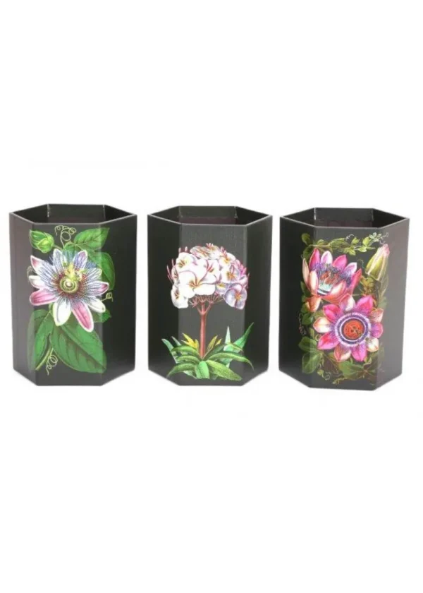 Temerity Jones Botanical Garden Set of 3 Pots Black