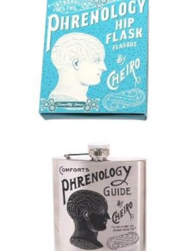 Temerity Jones Phrenology Reading Flask Silver